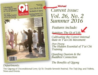 Qi Journal Summer 2016