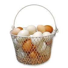 eggs in basket2