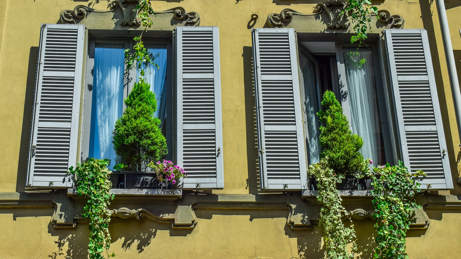 old Italian windows_Milan